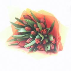 Букет Красных тюльпанов 25 шт