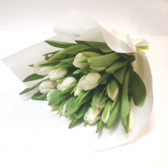 Купить белоснежные тюльпаны в подарок с доставкой