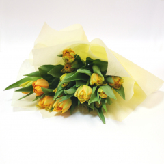 Букет Желтых пионовидных тюльпанов 15 шт