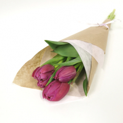 Купить тюльпаны фиолетовые пионовидные