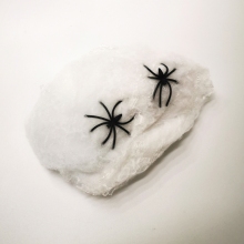 Паутина белая с пауками
