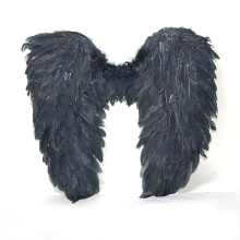 Крылья ангела Черные 55х40