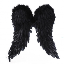 Крылья ангела Черные 50х50