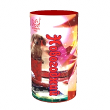 Фонтан Новогодний